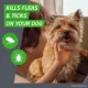 Product Frontline Plus Flea & Tick Dog Treatment 5-22 lbs
