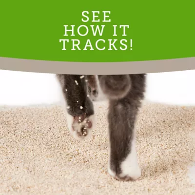Product ExquisiCat Litter Clumping Multi-Cat Grass Seed Cat Litter - Unscented, Low Dust, Natural