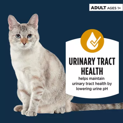Product Authority® Urinary Tract Health Cat Wet Food - 3 Oz, Pate