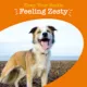 Product Zesty Paws 8-in-1 Multivitamin Supplement for Dogs - Chicken Flavored Soft Chews - 90 Count