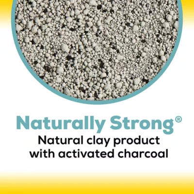 Product Purina® Tidy Cats® Naturally Strong Clumping Multi-Cat Clay Cat Litter - Clean Lemongrass Scent