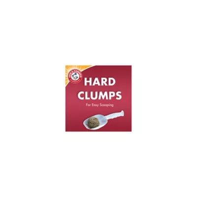 Product Arm & Hammer™ Double Duty Clumping Clay Cat Litter - Scented, Low Dust, Low Tracking
