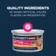 Product Authority Everyday Health Kitten Wet Cat Food - Shredded, 3oz
