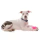 Product TagWorks® Rose Gold Bone with Crystal Charm Personalized Pet ID Tag