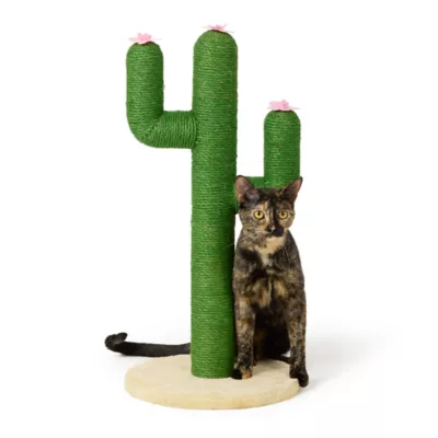 Product Whisker City® 26-in Green Cactus Cat Scratching Post