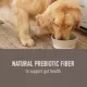 Product Simply Nourish® Natural Solutions Gut Health All Life Stage Dog Meal Topper - 3 Oz.,
