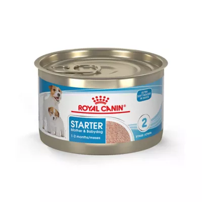 Product Royal Canin Size Health Nutrition Starter Mousse Mother & Babydog Wet Dog Food - 5.1 oz
