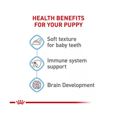 Product Royal Canin Size Health Nutrition Starter Mousse Mother & Babydog Wet Dog Food - 5.1 oz