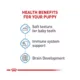 Product Royal Canin Size Health Nutrition Starter Mousse Mother & Babydog Wet Dog Food - 5.1 oz