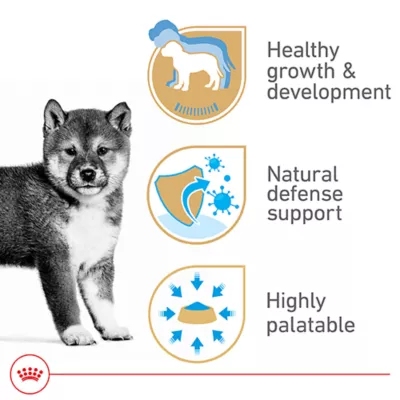 Product Royal Canin Canine Health Nutrition Loaf in Sauce Puppy Dog Wet Food - 5.2 oz