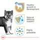 Product Royal Canin Canine Health Nutrition Loaf in Sauce Puppy Dog Wet Food - 5.2 oz