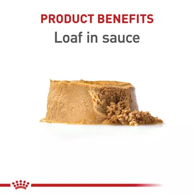 Product Royal Canin Canine Health Nutrition Loaf in Sauce Puppy Dog Wet Food - 5.2 oz