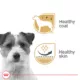Product Royal Canin Canine Health Nutrition Beauty Adult Dog Loaf in Sauce Wet Food - 5.2 oz