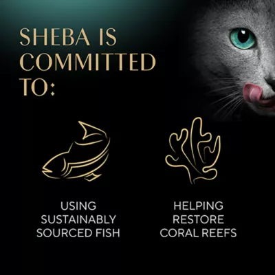 Product Sheba® Bistro Perfect Portions Adult Wet Cat Food - 2.64 Oz.