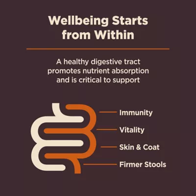 Product Wellness® CORE® Digestive Health Small Breed Adult Dry Dog Food - With-Grain, Chicken & Brown Rice