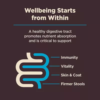 Product Wellness(r) CORE(r) Digestive Health Adult Dry Dog Food - With-Grain, Whitefish & Brown Rice