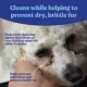 Product Angels' Eyes Gentle Tear Stain Wipes for Dogs - Presoaked Textured Wipes - 100 ct