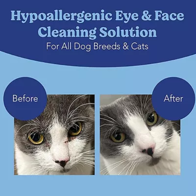Product Angels' Eyes Gentle Tear Stain Wipes for Dogs - Presoaked Textured Wipes - 100 ct