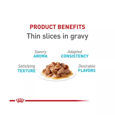 Product Royal Canin® Feline Care Nutrition Urinary Care Adult Cat Wet Food, 12-ct