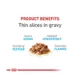 Product Royal Canin® Feline Care Nutrition Urinary Care Adult Cat Wet Food, 12-ct