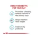 Product Royal Canin® Feline Care Nutrition Urinary Care Adult Cat Wet Food, 12-ct