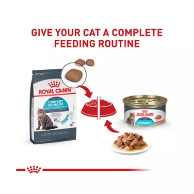 Product Royal Canin® Feline Care Nutrition Urinary Care Adult Cat Wet Food, 12-ct