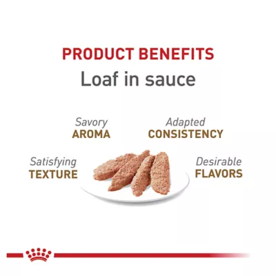 Product Royal Canin® Feline Health Nutrition Aging 12+ Loaf in Sauce Wet Cat Food - 5.1 Oz
