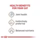 Product Royal Canin® Feline Health Nutrition Aging 12+ Loaf in Sauce Wet Cat Food - 5.1 Oz