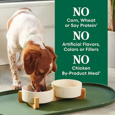 Product Nutro Natural Choice™ Small Bites Adult Dry Dog Food - Lamb & Brown Rice