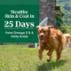 Product Nutro Natural Choice™ Large Breed Adult Dry Dog Food - Chicken & Brown Rice