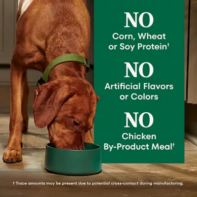 Product Nutro Natural Choice™ Large Breed Adult Dry Dog Food - Chicken & Brown Rice