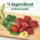 Product Nutro Natural Choice™ Large Breed Adult Dry Dog Food - Lamb & Brown Rice