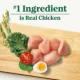 Product Nutro Natural Choice™ Healthy Aging Senior Dry Dog Food - Chicken & Brown Rice