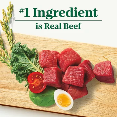 Product Nutro Natural Choice™ Adult Dry Dog Food - Beef & Brown Rice