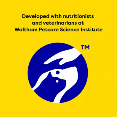 Product Temptations™ Creamy Purée Lickable Adult Cat Treats - Chicken