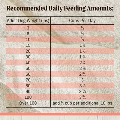 Product Merrick® Healthy Grains Raw-Coated Kibble Adult Dry Dog Food - Real Salmon & Brown Rice