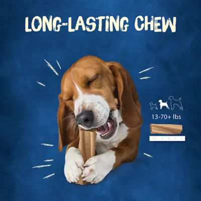 Product Purina® Busy Bone Small/Medium Dog Treat - Peanut Butter, Long-Lasting Chew, Produced in USA