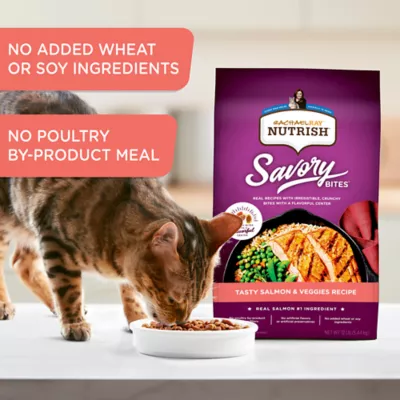Product Rachael Ray Nutrish Savory Bites Dry Cat Food Adult - Salmon, Veggies