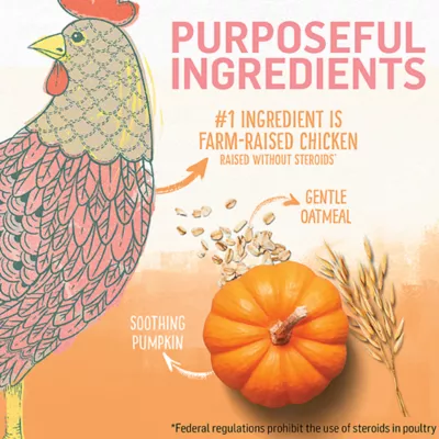 Product Purina® Beyond® Kitten Kitten Cat Dry Food - Chicken, High-Protein, Natural