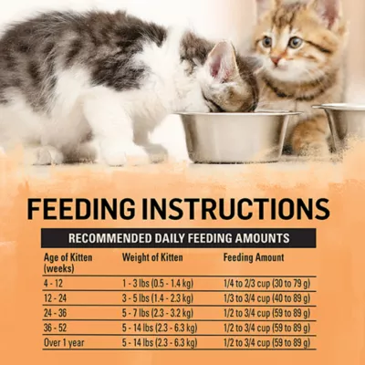 Product Purina® Beyond® Kitten Kitten Cat Dry Food - Chicken, High-Protein, Natural