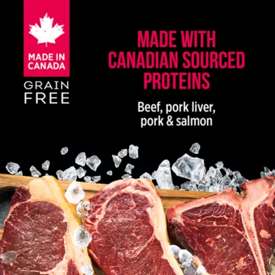 Product Nutreince SubZero Wet Dog Food - Prairie Red, Beef Pâté, Grain Free, 13 oz