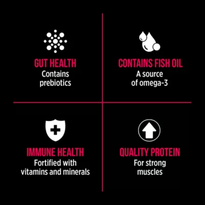 Product Nutreince SubZero Wet Dog Food - Prairie Red, Beef Pâté, Grain Free, 13 oz