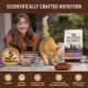 Product Wellness® CORE+ Digestive Health Adult Cat Food - Natural, Chicken and Rice