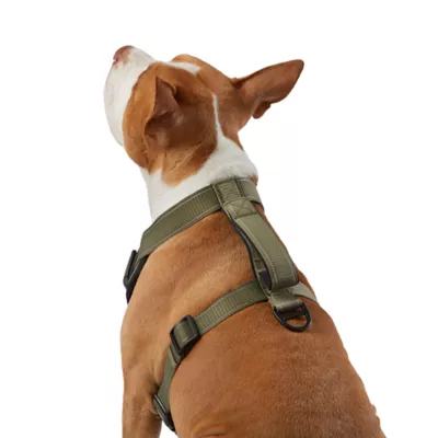 KONG® MAX Neoprene Padded Dog Harness