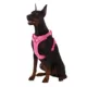 Product Top Paw® Neoprene Comfort Dog Harness