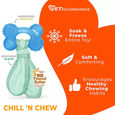 Product Nylabone® Teething Puppy Chew Freezer Bone Dog Toy - Peanut Butter Flavor