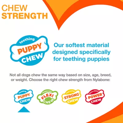 Product Nylabone® Teething Puppy Chew Freezer Bone Dog Toy - Peanut Butter Flavor