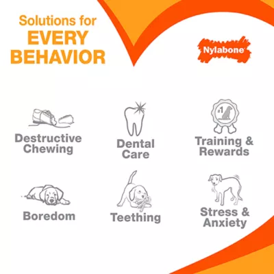 Product Nylabone® Teething Puppy Chew Freezer Bone Dog Toy - Peanut Butter Flavor