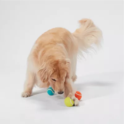 Product Joyhound® Game On Colorful Tennis Ball Dog Toy - 3 Pack
