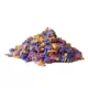 Product carefresh® Special Edition Small Pet Bedding - Beach Party